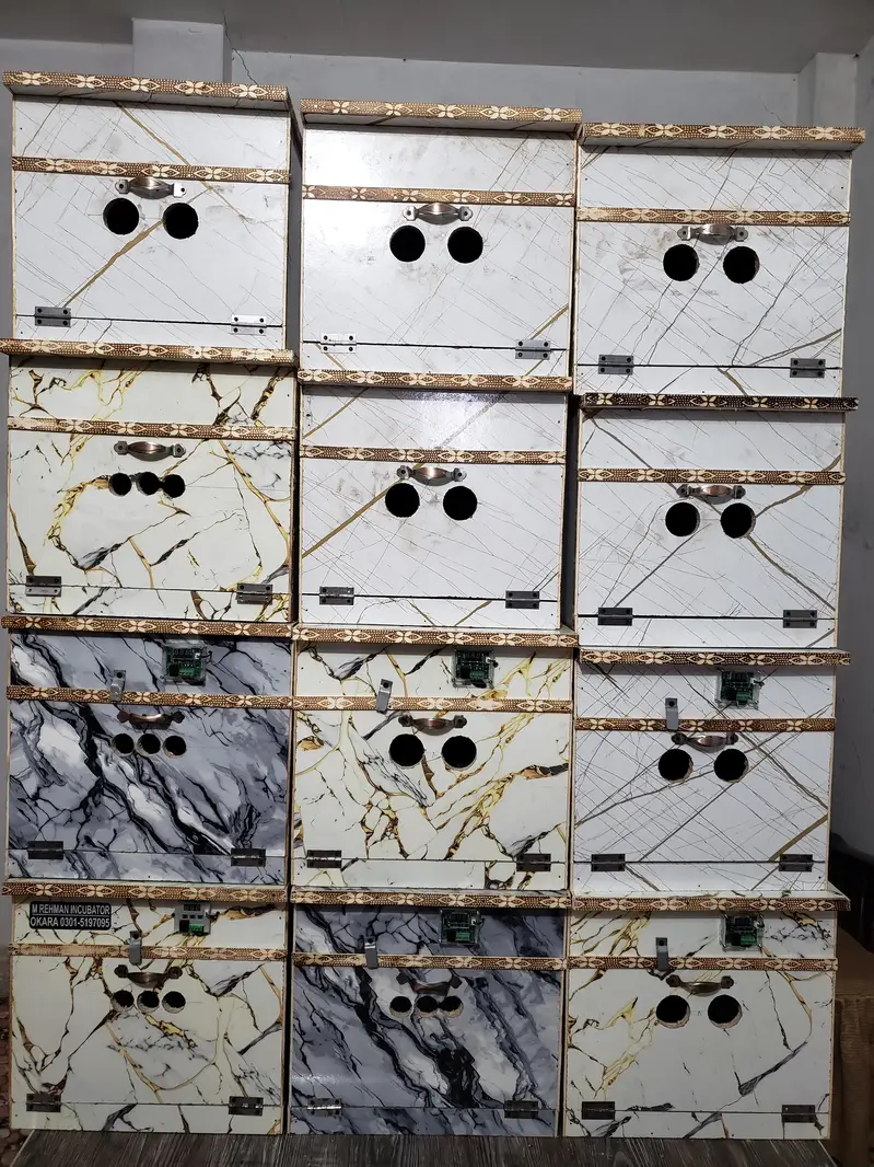 Incubator — photo 5