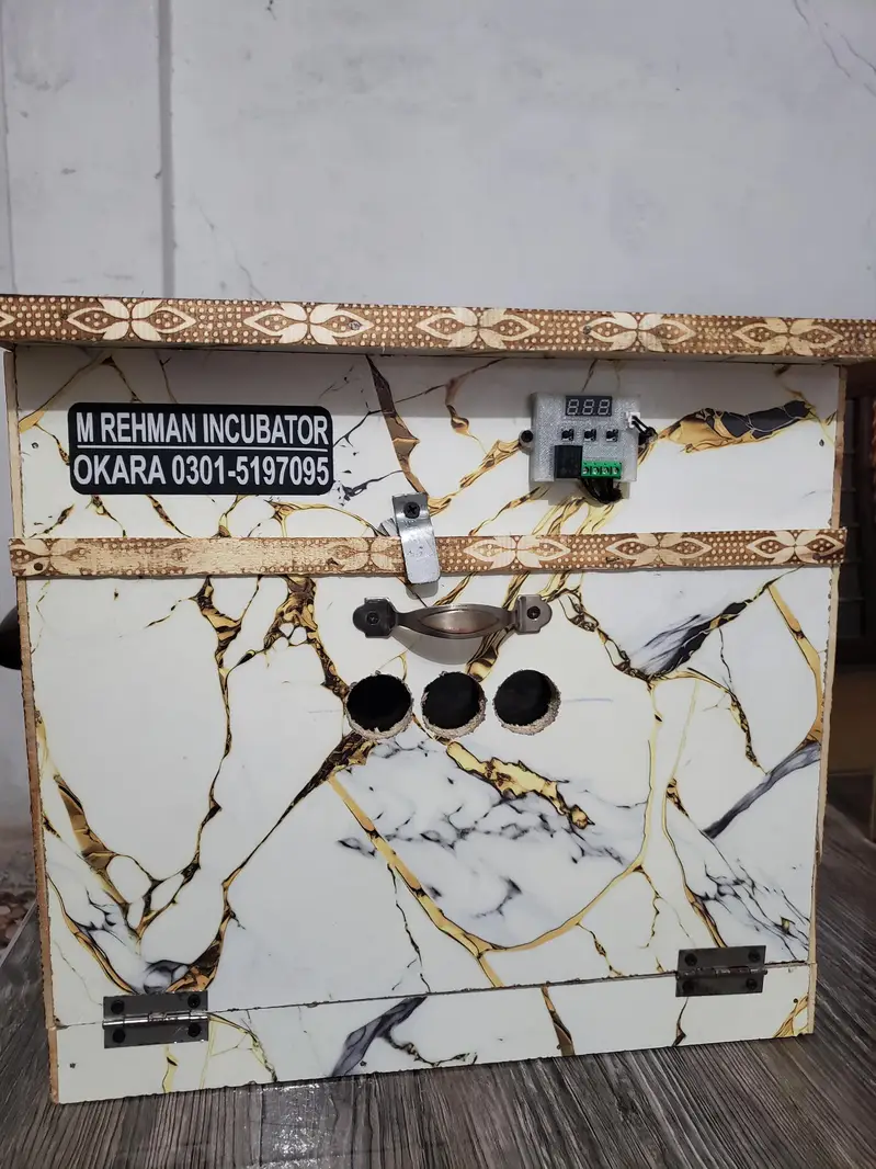 Incubator — photo 6