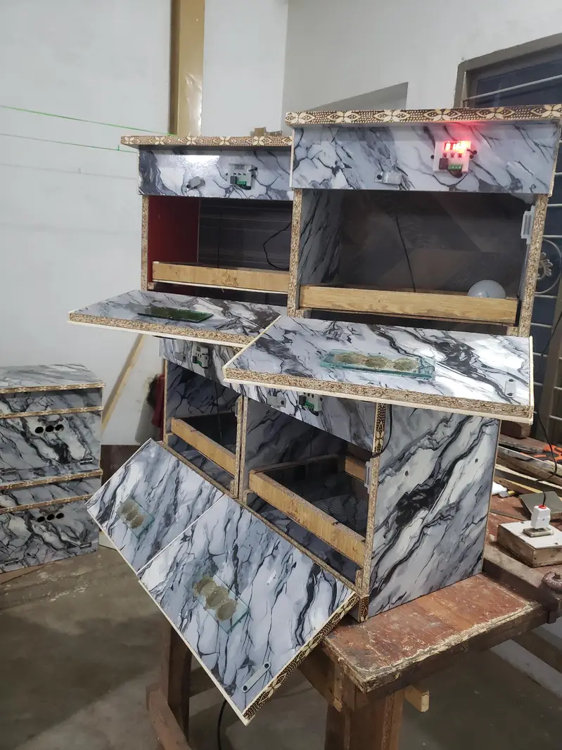 Incubator — photo 8
