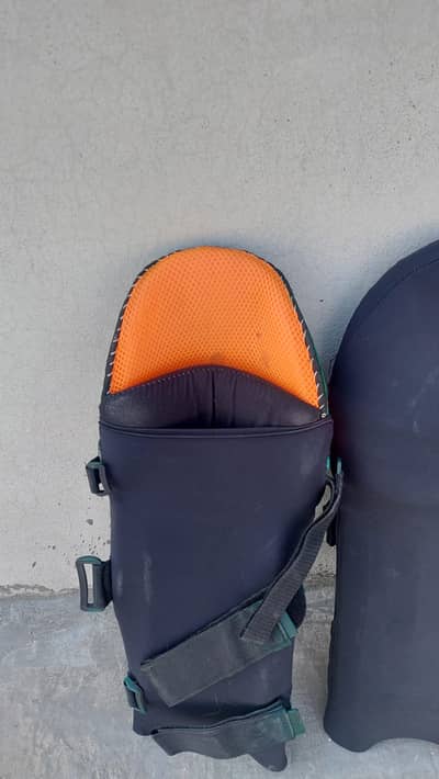 Cricket Pads For Sale