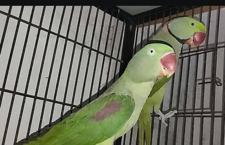 Alexander confirm pair