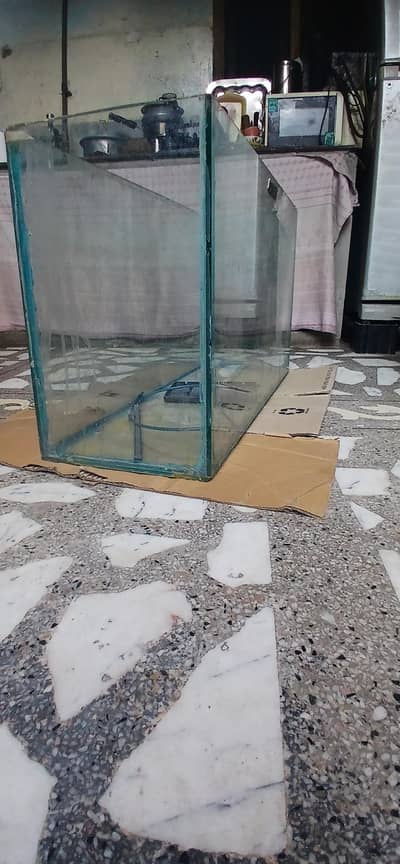 Aquarium  with all set  10 by 10 condition