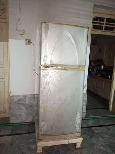 Fridge / Refrigerator / Freezer
