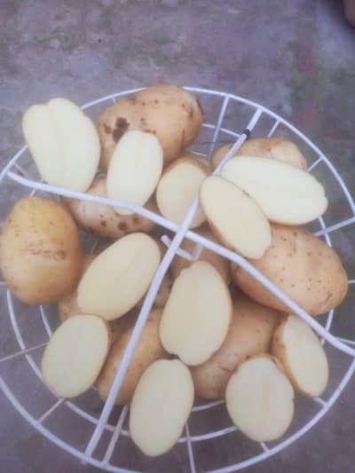 Avr Potato For fries and lays