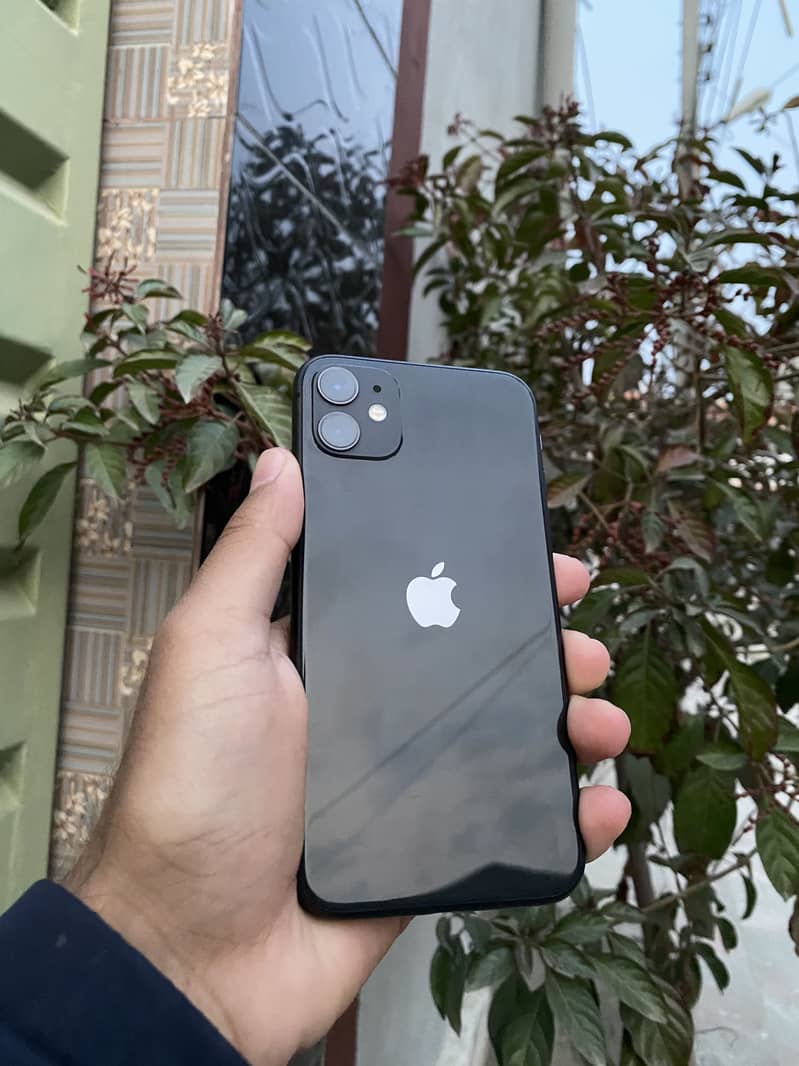 iPhone 11 0