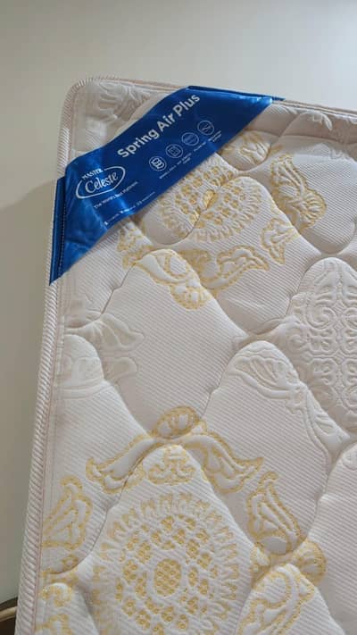 Molty from compni Ka hai