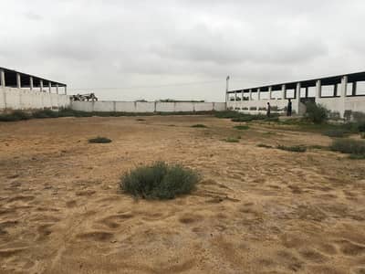 Areesha Cattle Society Near Nagoori