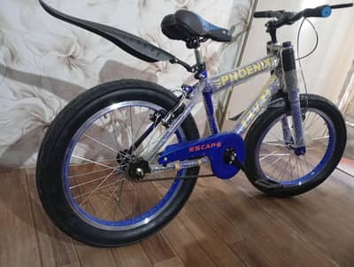 bicycle 20 size fatty tire | imported cycle | 20 size cycle