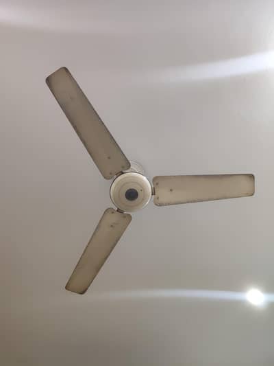 Pak Ceiling AC Fan