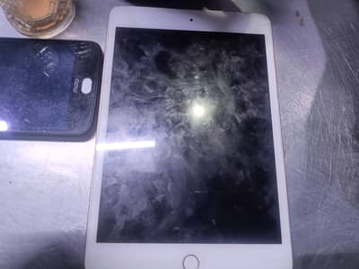 iPad mini 5 64 GB LLA