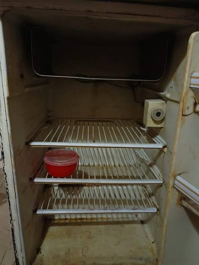 Single door refrigerator