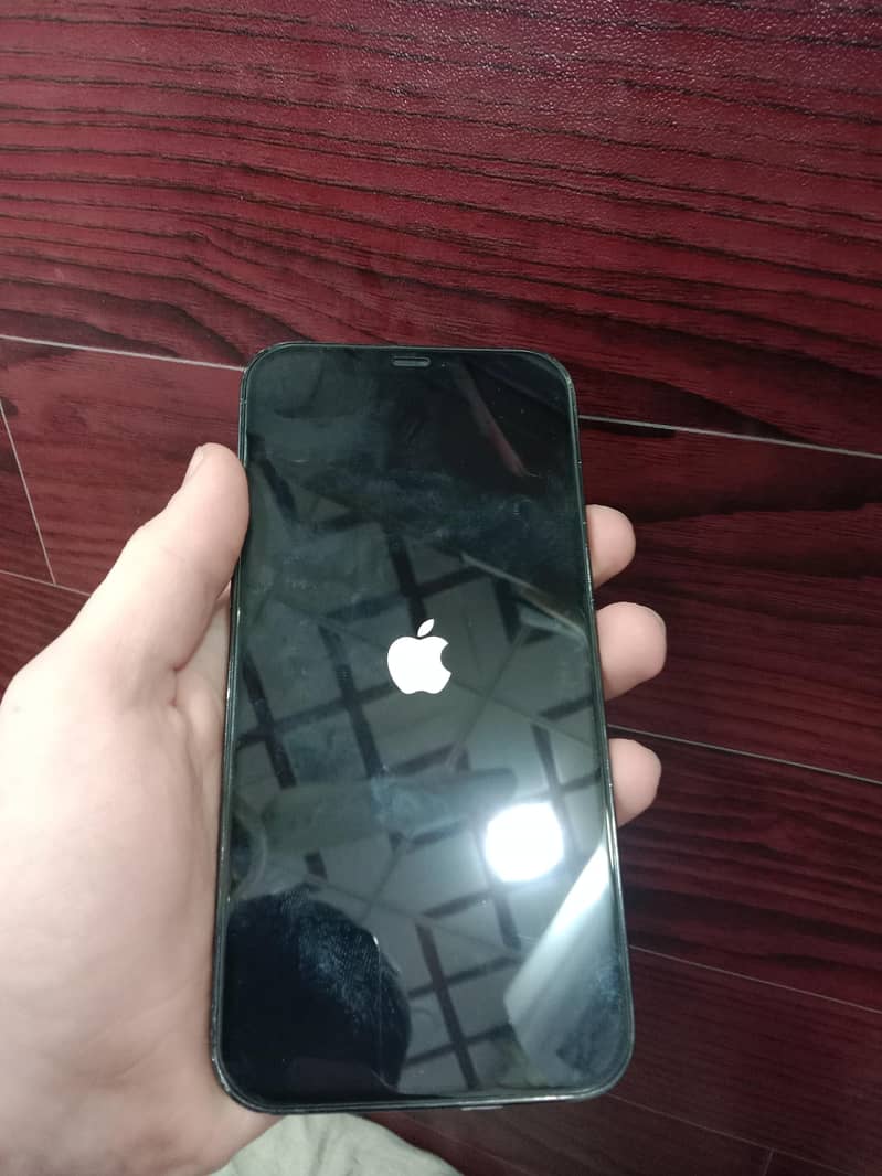iphone 12 pro max 5