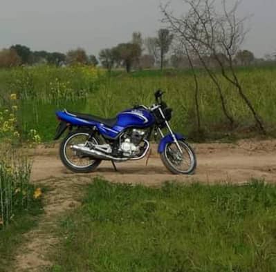 Ravi 125