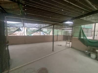 MASTER CAGE WITH 2 FLYING CAGES