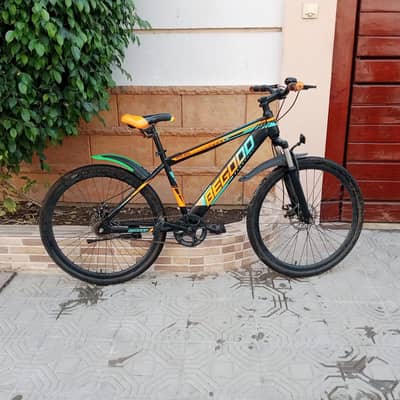 BEGOOD imported cycle - 26 size - 0320/225/7271