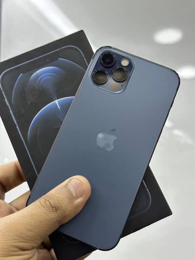 12 pro dual Pta approve