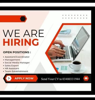 Male and female staff required for office work . . What'sApp 0348033194