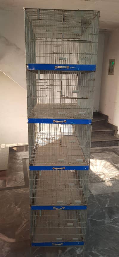 Birds 5 portion cage