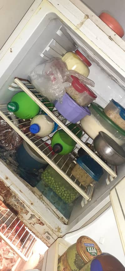 PEL freezer for sale condition 7/10 working good