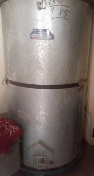 gandum kaloty with TR stand have wight full size 40 man