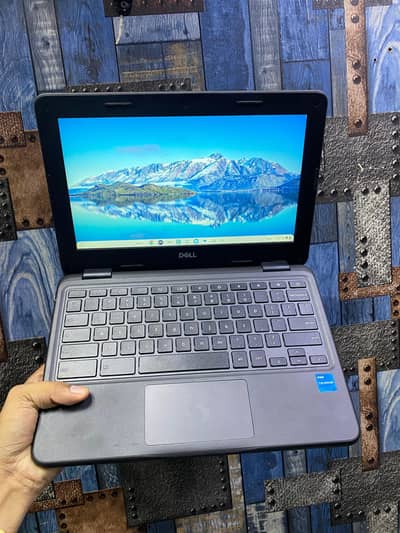 Chromebook 3100