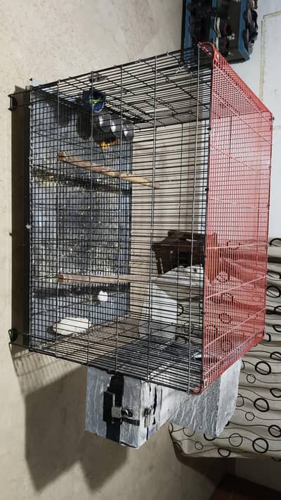 kashmiri parrot cage