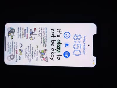 Iphone Xs Max 256 GB non pta