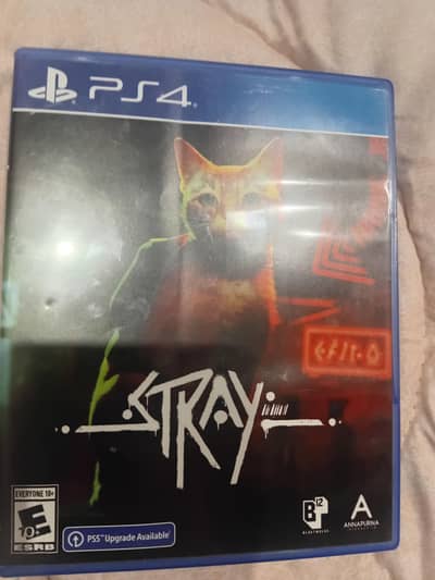 only serious customer