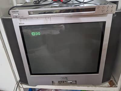 Sony TV + DVD player