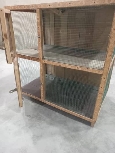 1 cage 1 pegion male patti wala