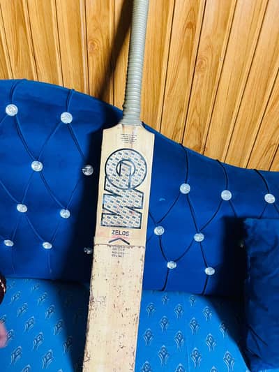 Kashmir Willow used bat
