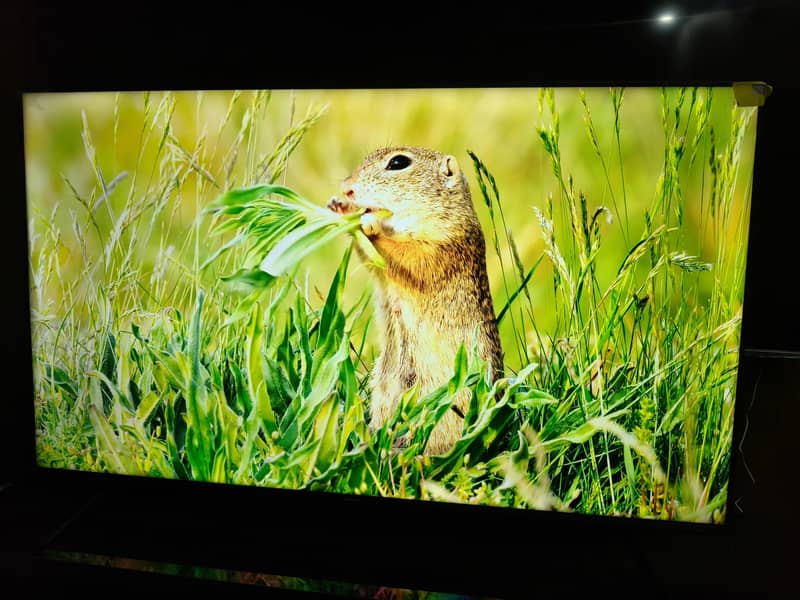 HISENSE 55" model E6H 3