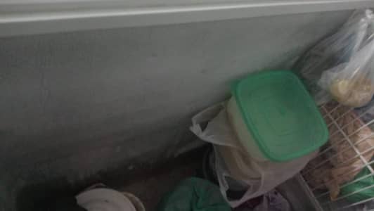 Large size deep Freezers in a good working  condition for sale