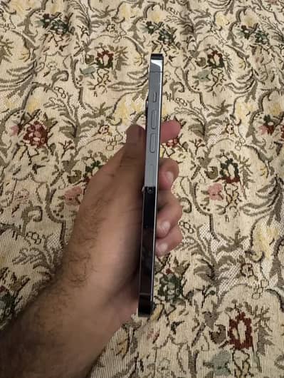 iPhone 13 Pro Max_exchange possible