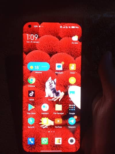 online patch only fox open condition 10/10