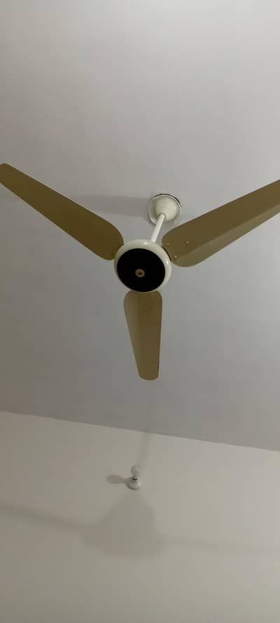 3 x Fans (SK brand)
