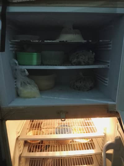 Pel full size refrigerator