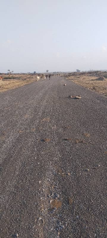 SUNFACE IDEAL OPTION PLOT FOR SALE