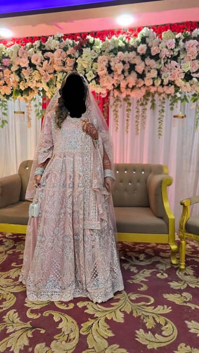 Walima Maxci