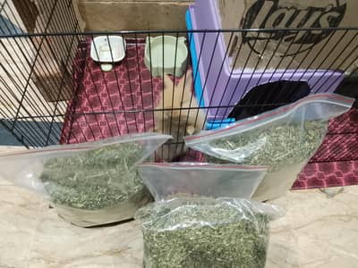 Rabbit food Dry alfalfa Hay for sale (Rabbit food only)