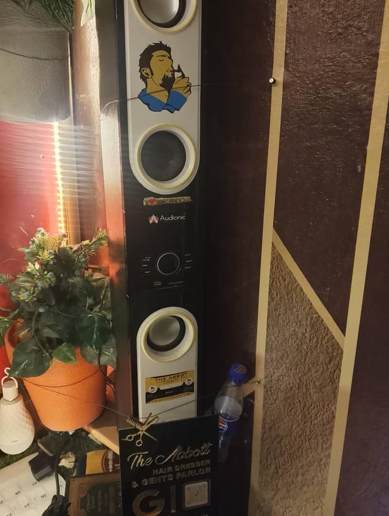 imported Audionic speaker 1