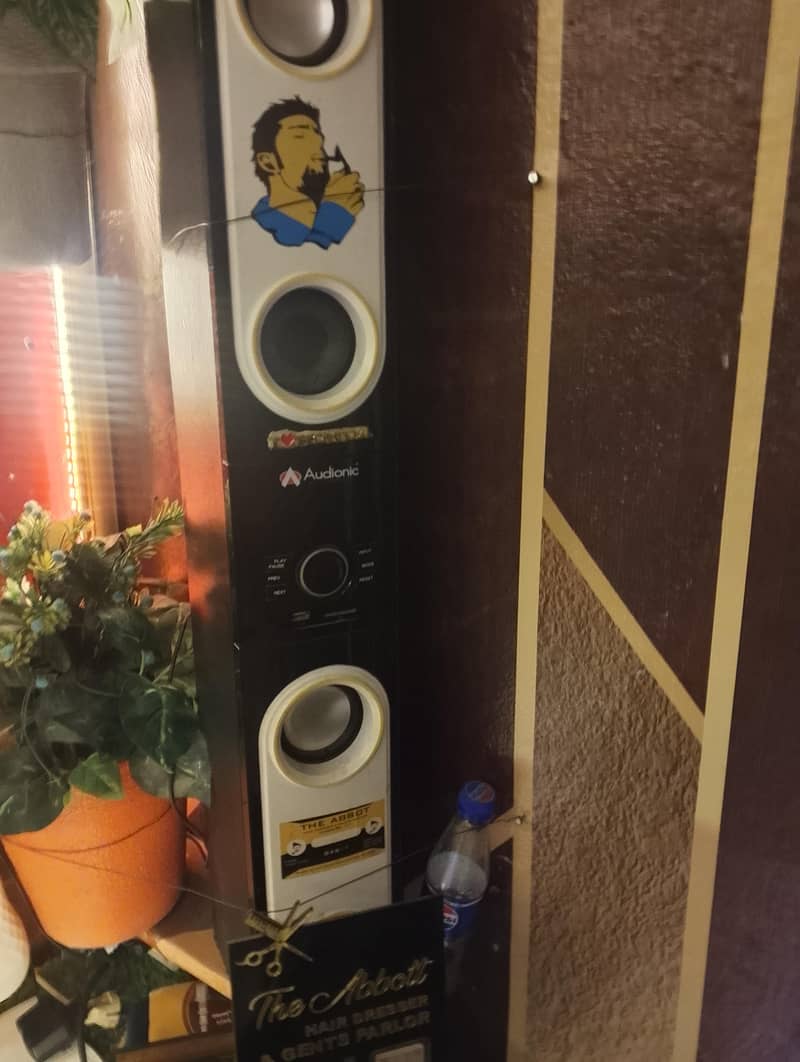 imported Audionic speaker 4