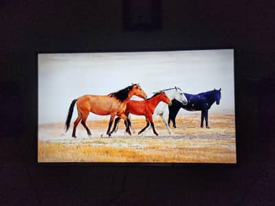 Haier 42 Inch LED TV