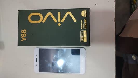 VIVO Y66 ( BOX OPEN ) RECENTLY BUYED
