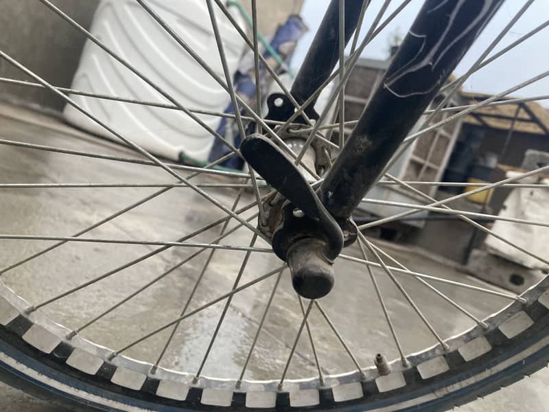 Wheeling Cycle Best 10/10 2