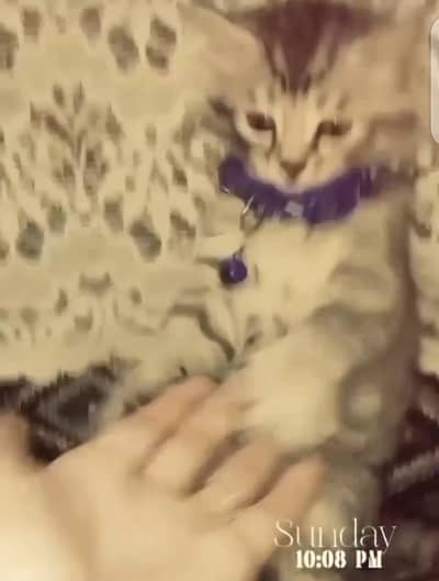 online or cash on delivery your choose anytime