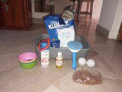 Cat and Dog Accessories