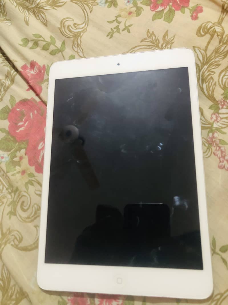 Ipad mini 2 1