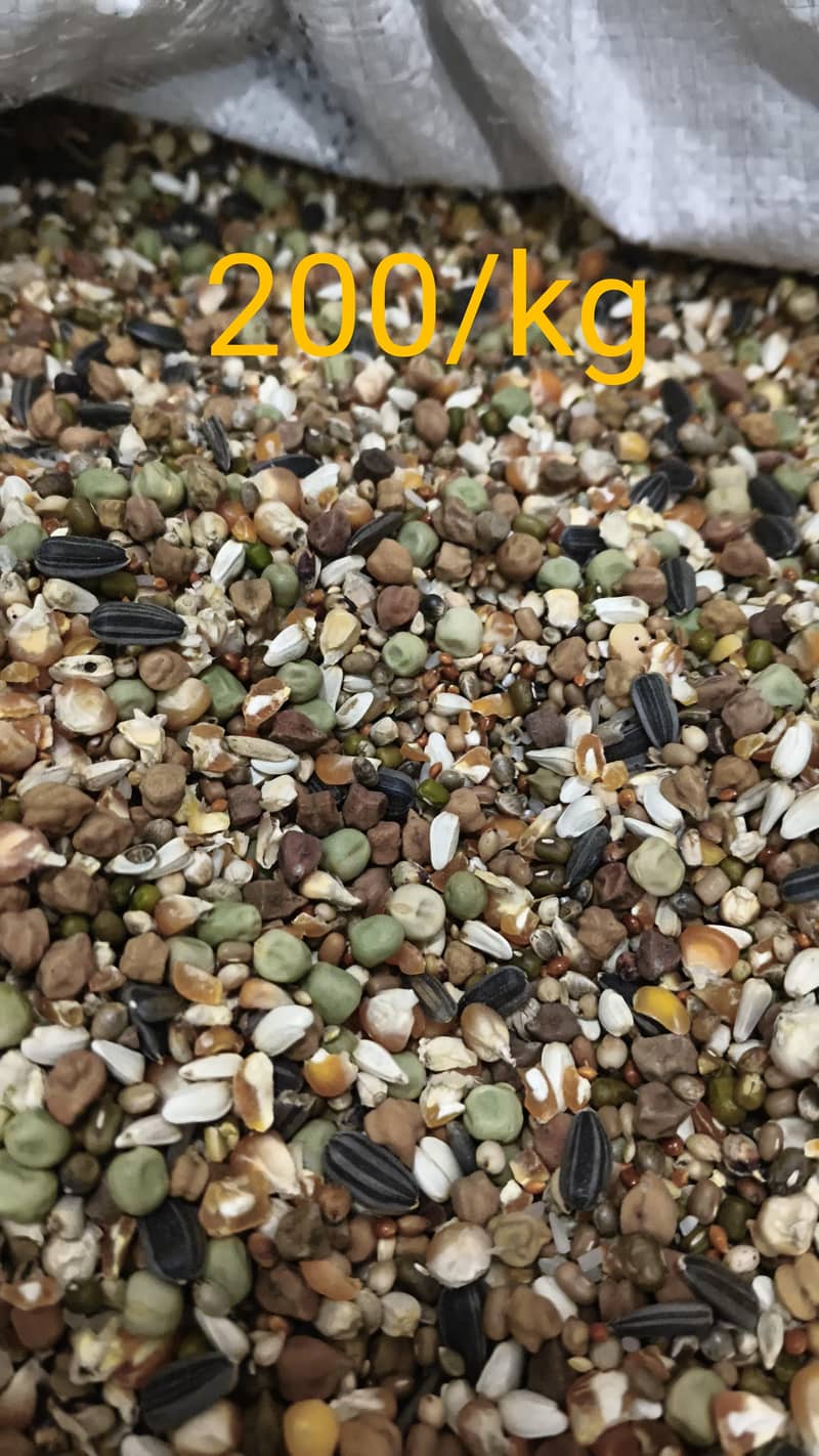 کبوتروں کا بہترین اور سستا دانہ 0