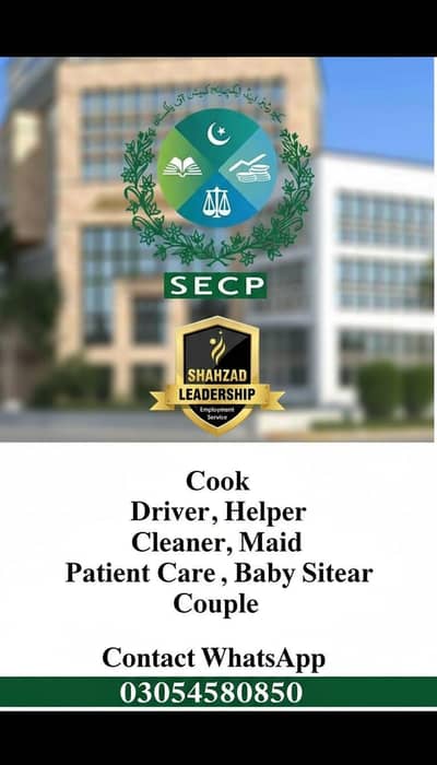 we provide staff domestic Cook chef driver made patient care babysitte